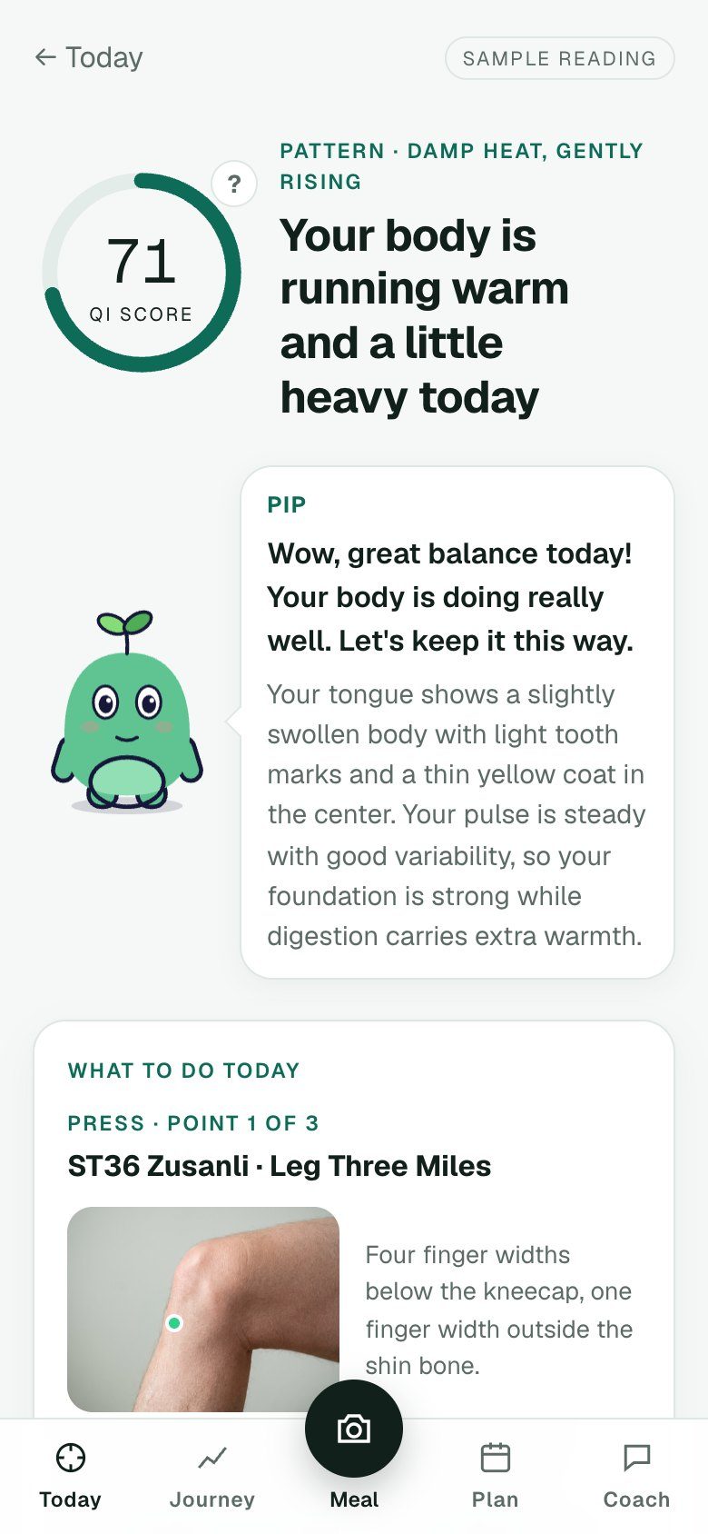 Qira reading: Qi Score 71, pattern damp heat gently rising, and Pip's summary